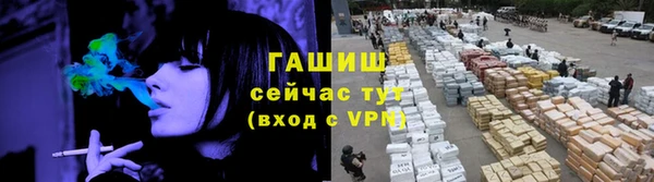 стаф Ладушкин
