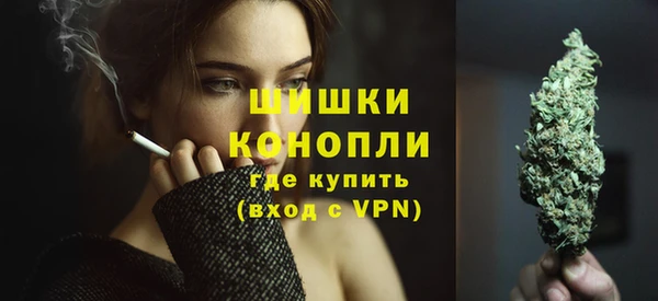 сатива Лагань
