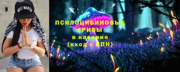 сатива Лагань