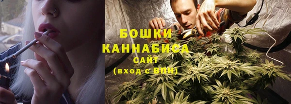 спиды Лиски
