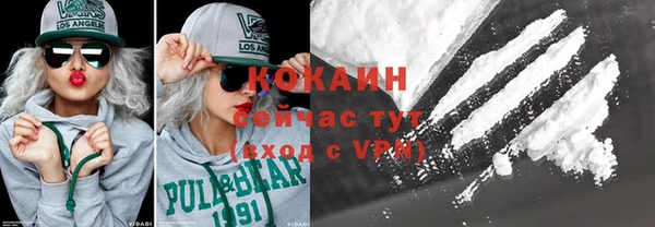 спиды Лиски