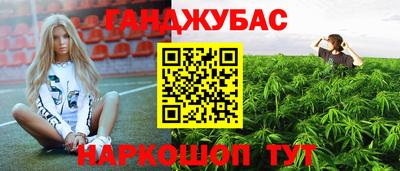 дмт Пенза